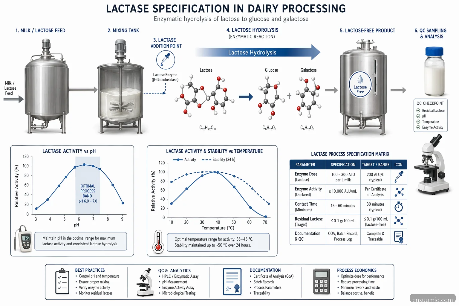 enzim industri for dairy spesifikasi lactase: alur hidrolisis laktosa dengan kurva pH, suhu, dosis, dan QC