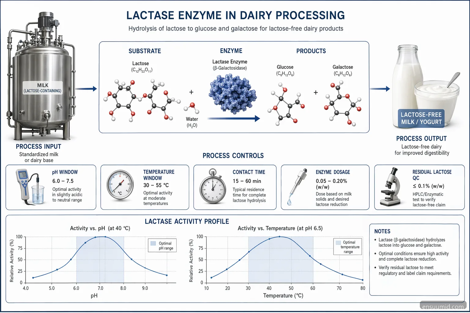 lactase enzyme dairy lactose-free process: lactose hydrolysis to glucose and galactose with pH and temperature controls