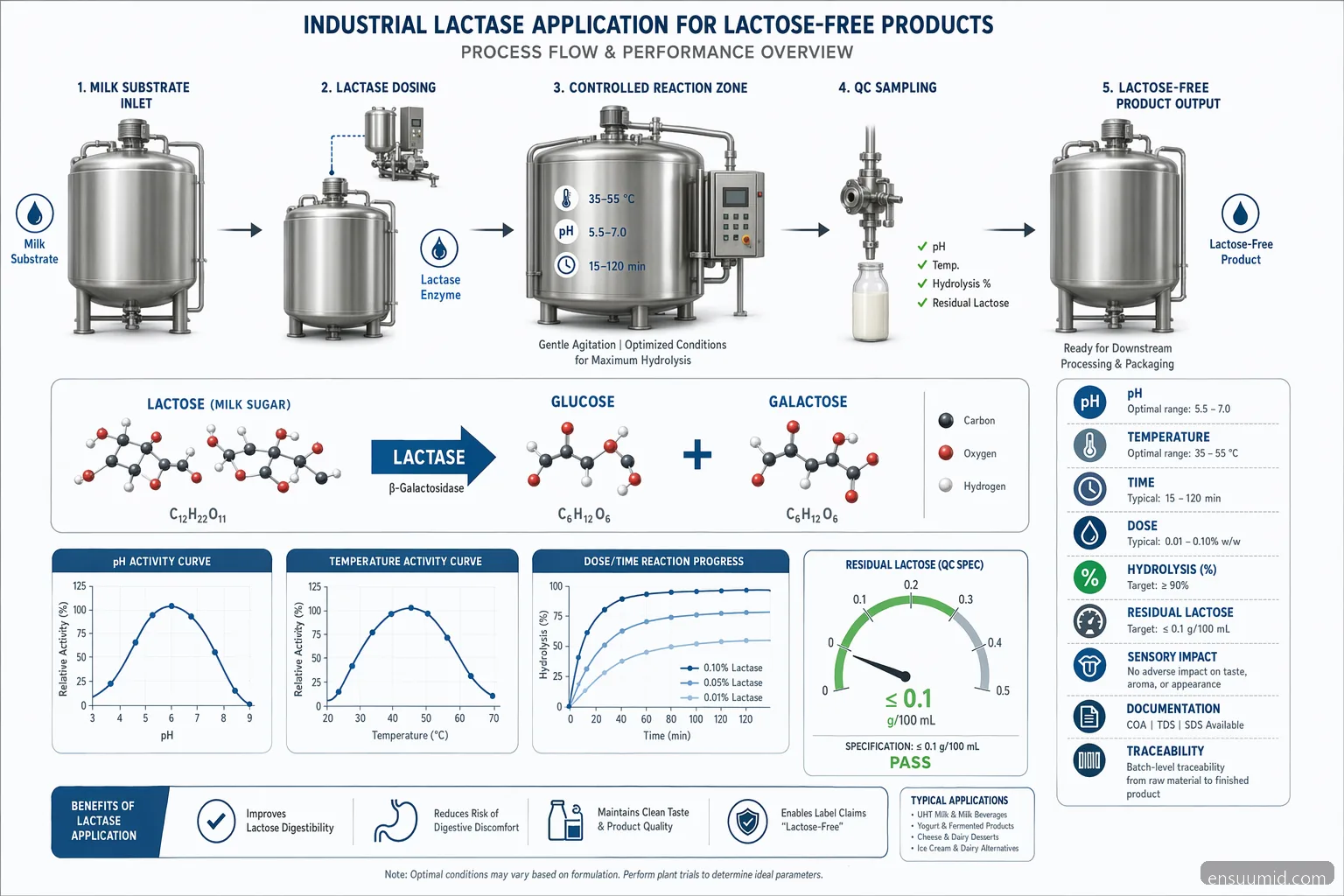 lactase enzyme for lactose intolerance process diagram showing lactose hydrolysis, pH, temperature, dose, and QC
